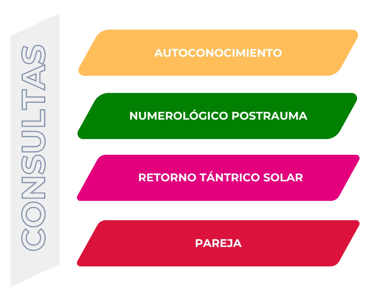 Tipos de Consultas Sandra Castañeda