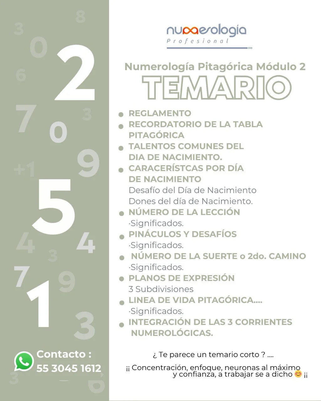 Temario Numerología Pitagórica 2