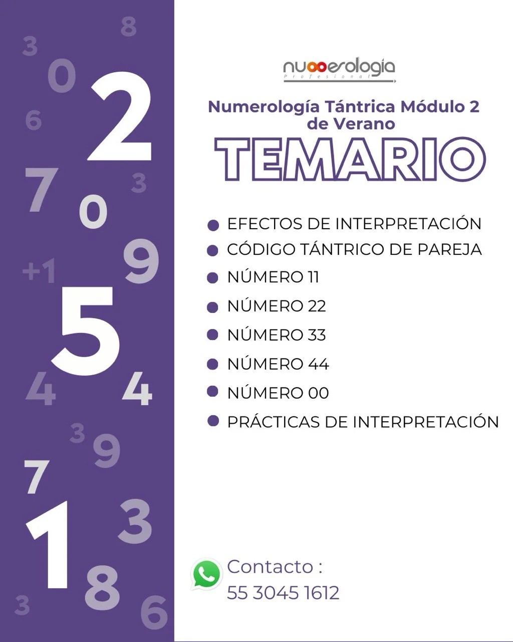 Temario Numerologia Tántrica 2