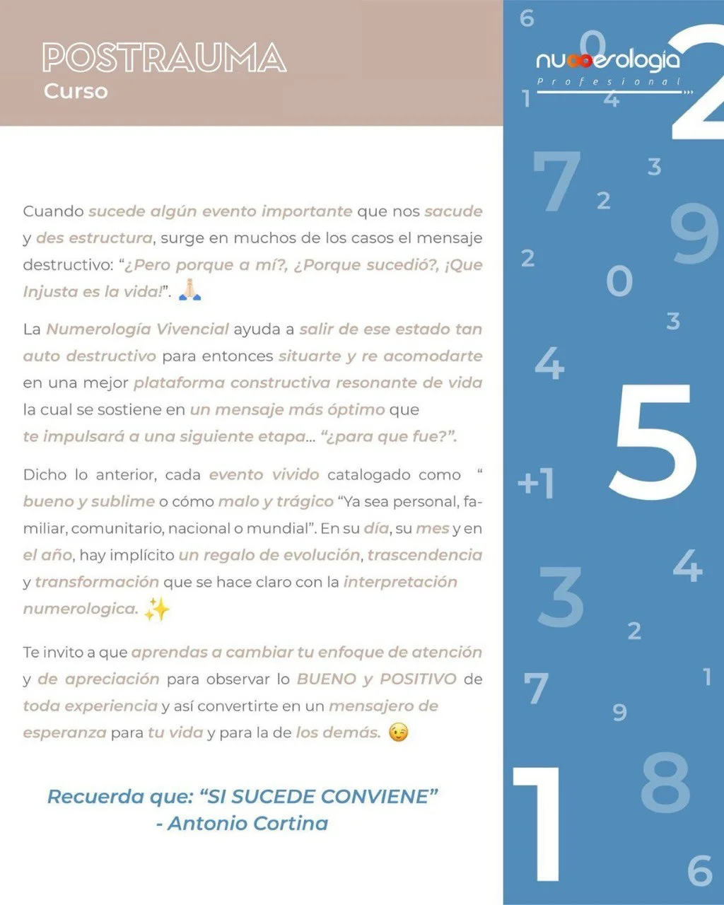 Temario Numerologia Postrauma